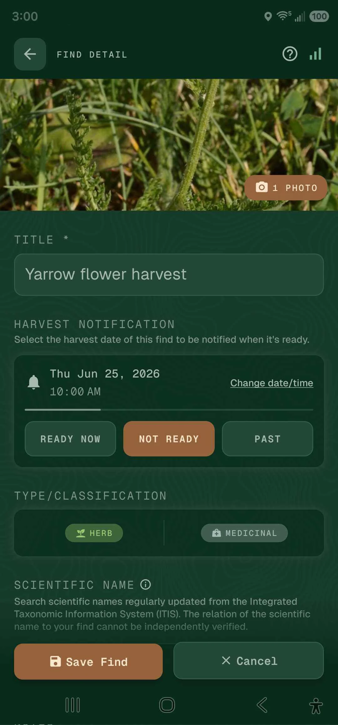 Find detail — photo, taxonomy, location, and harvest status
