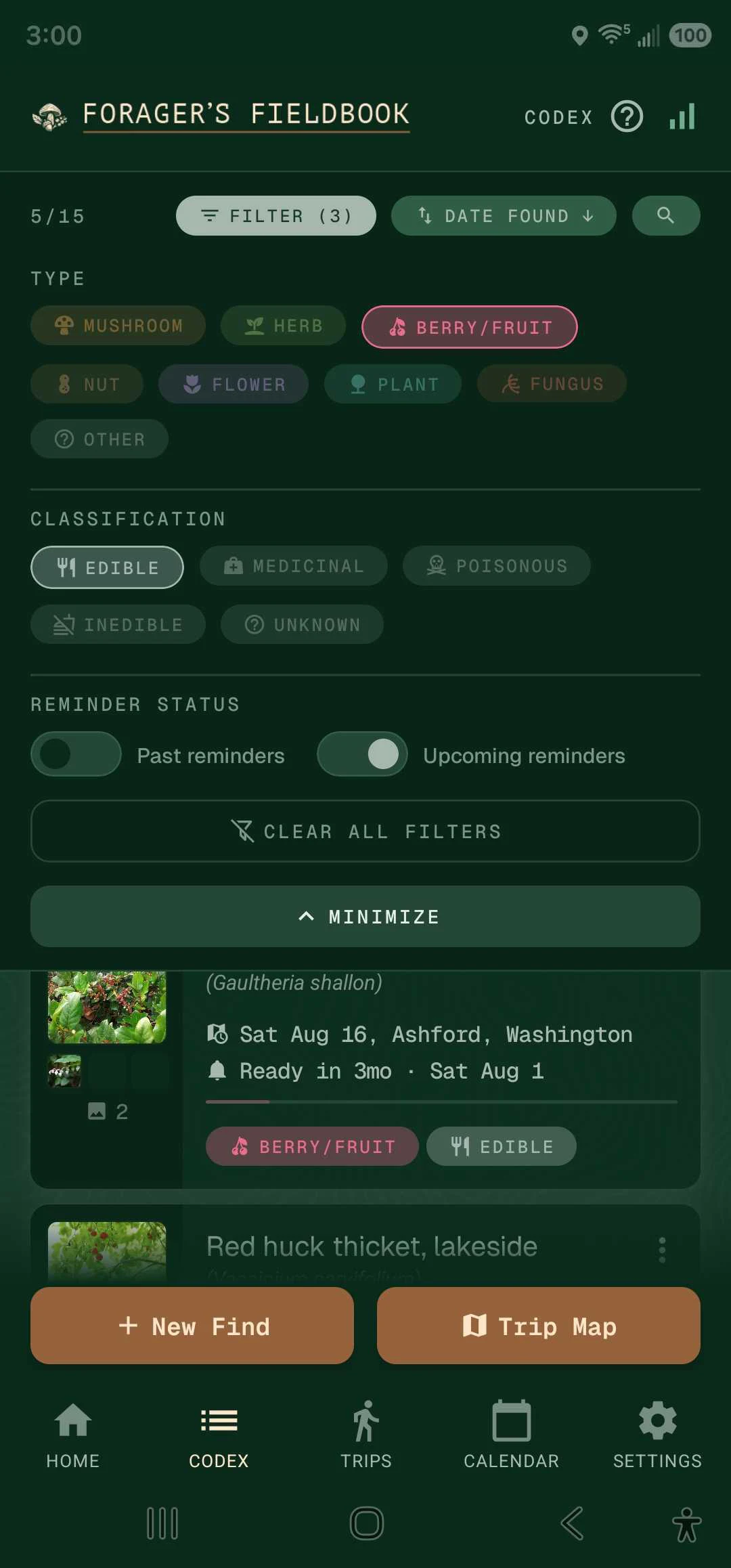 Codex filters — narrow by type, classification, and reminder status