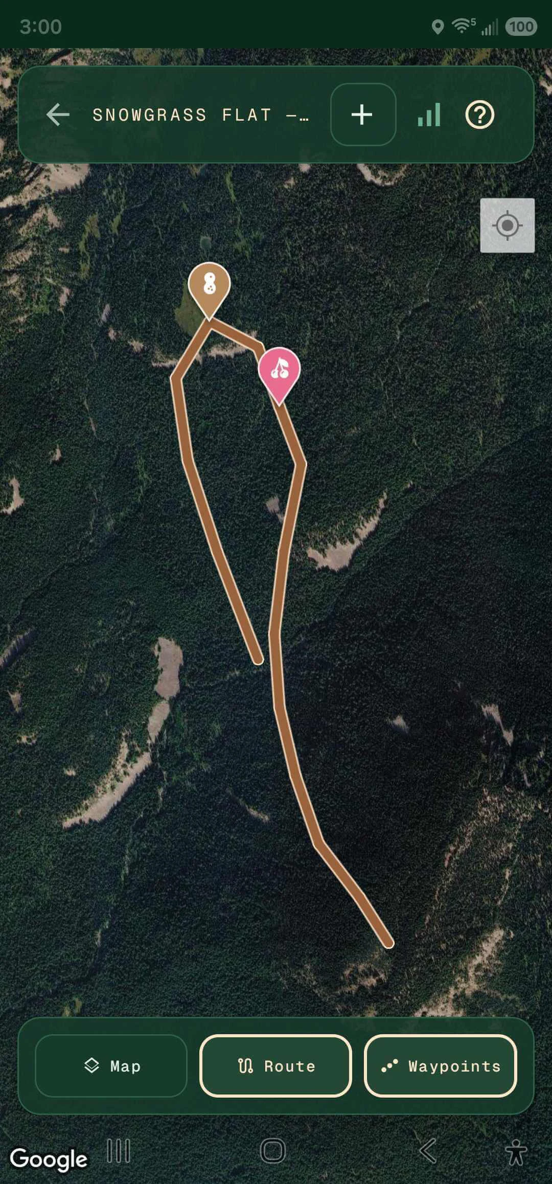 Trip view — GPS route on a satellite map