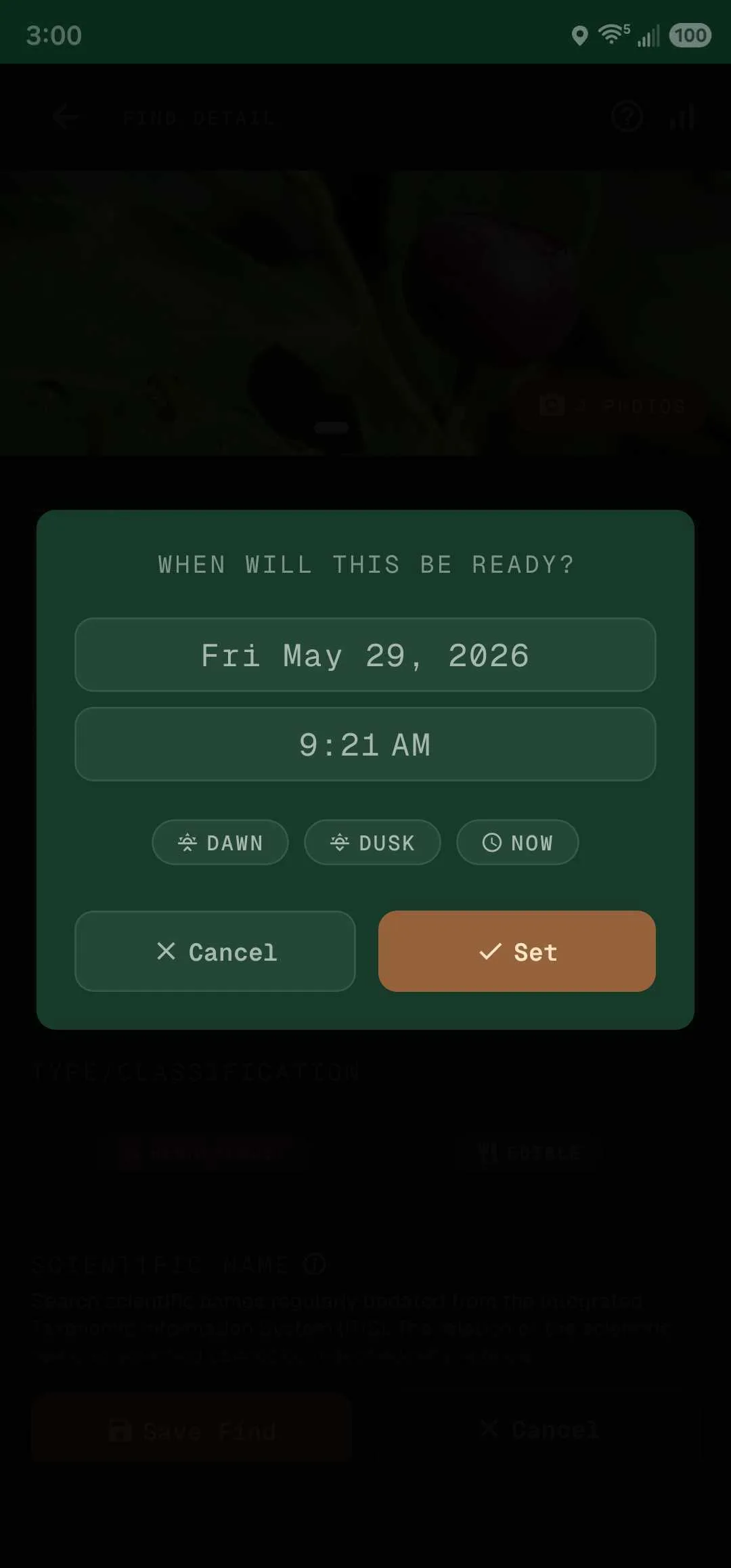 Set harvest readiness modal with date, time, and Dawn / Dusk / Now shortcuts