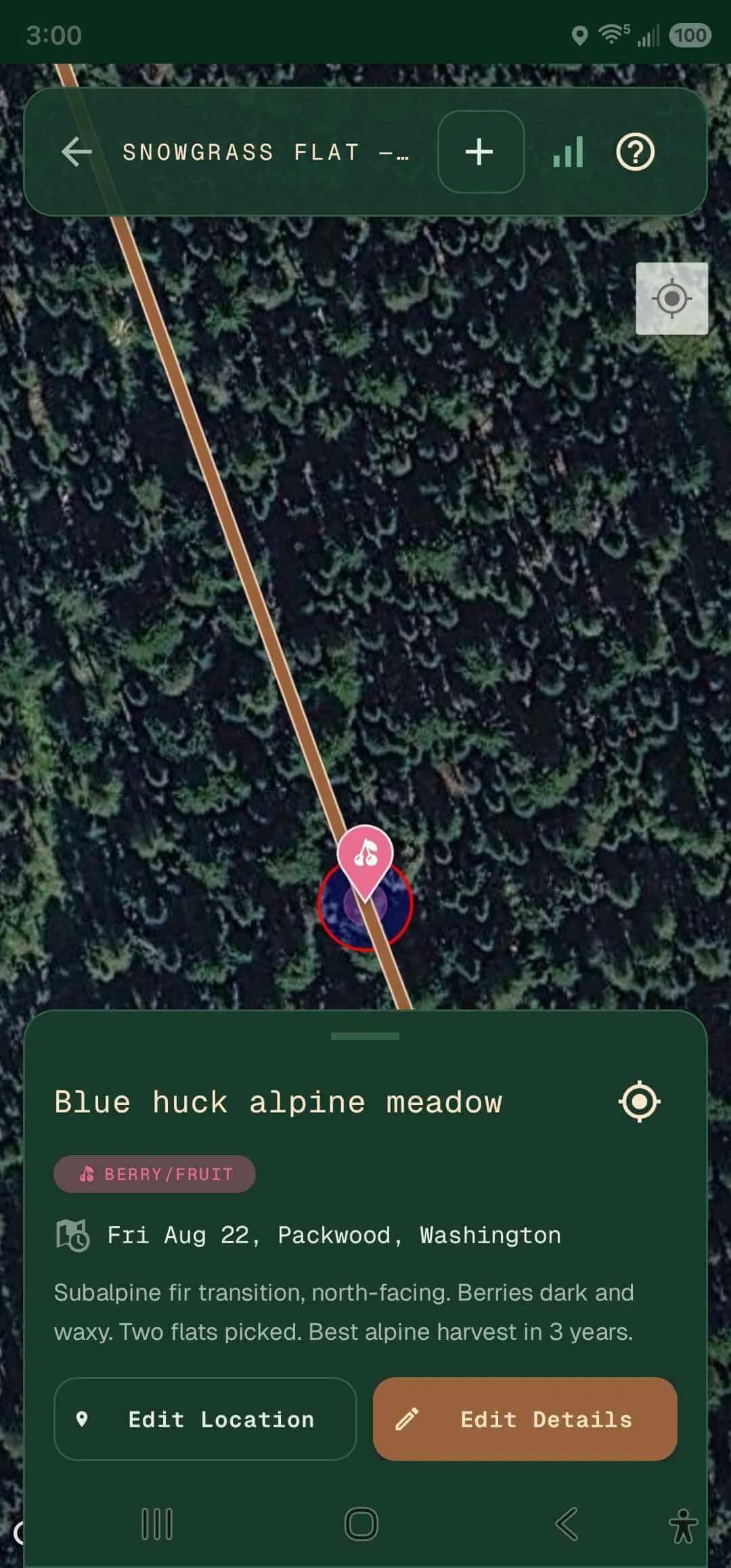 Foraging trip route on a satellite map with a Blue huck alpine meadow find pinned along the route